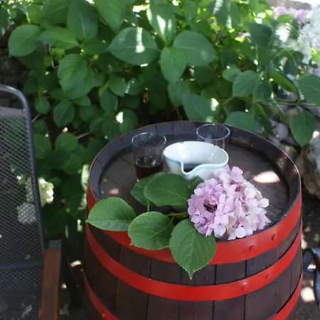 Rimanic * Sveti Lovreč Pazenatički