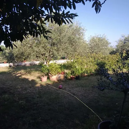 Apartment Rimanic Sveti Lovrec Pazenaticki